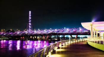 Singapore Walking Path at Night