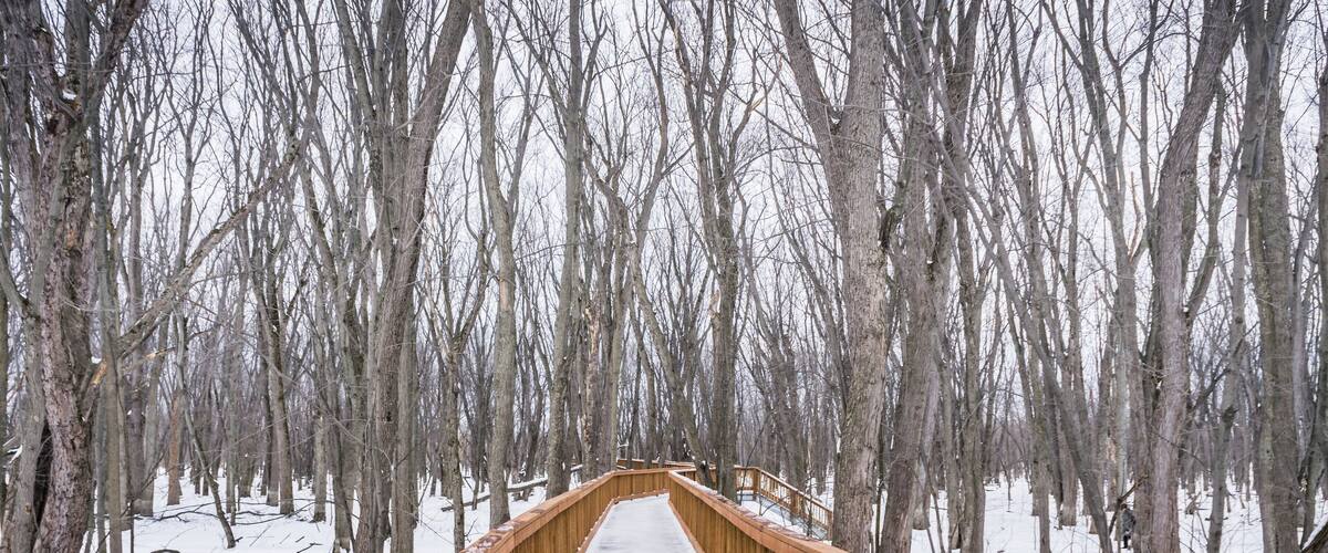 The footbridge of the Parc Écomaritime de l'Anse-du-Port, a small park near the St Lawrence river in Nicolet, Quebec (Canada)