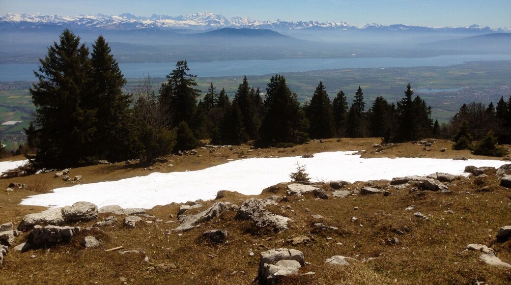 The views up here are amazing.