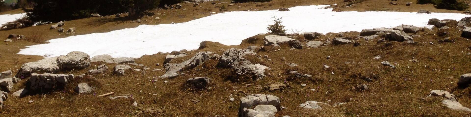 The views up here are amazing.