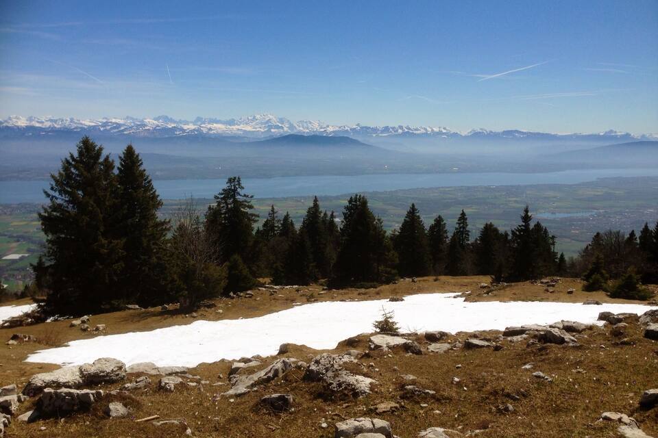 A mountainous landscape with snow patches, evergreen trees, and a distant lake.