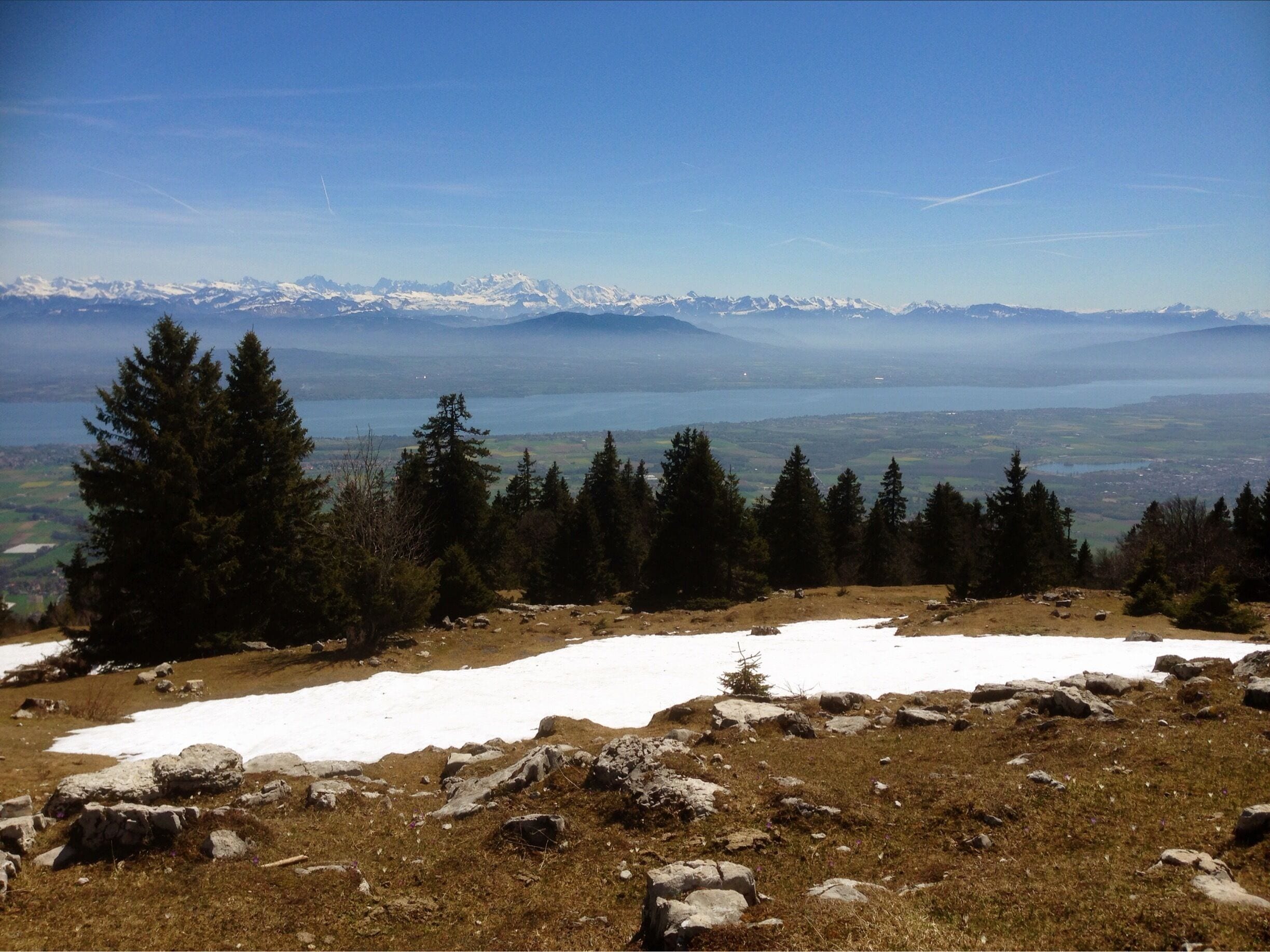 A mountainous landscape with snow patches, evergreen trees, and a distant lake.