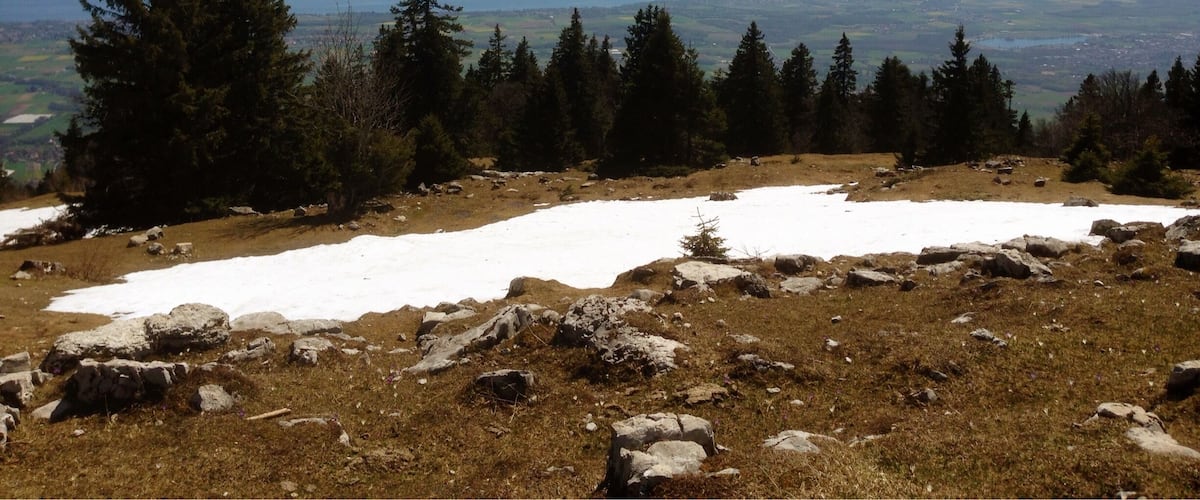 A mountainous landscape with snow patches, evergreen trees, and a distant lake.
