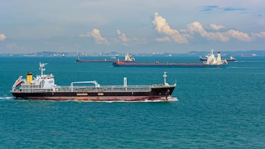 World’s busiest shipping lane - Straits of Malacca and Singapore.