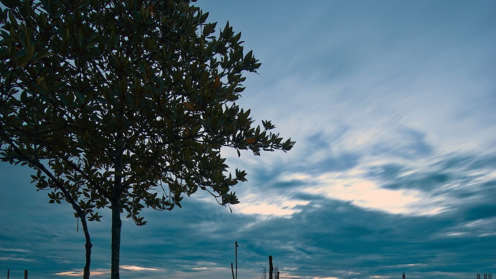 Tanjung Langsat Jetty during blue hour
