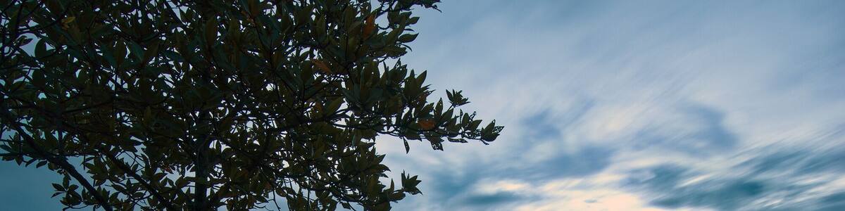 Tanjung Langsat Jetty during blue hour