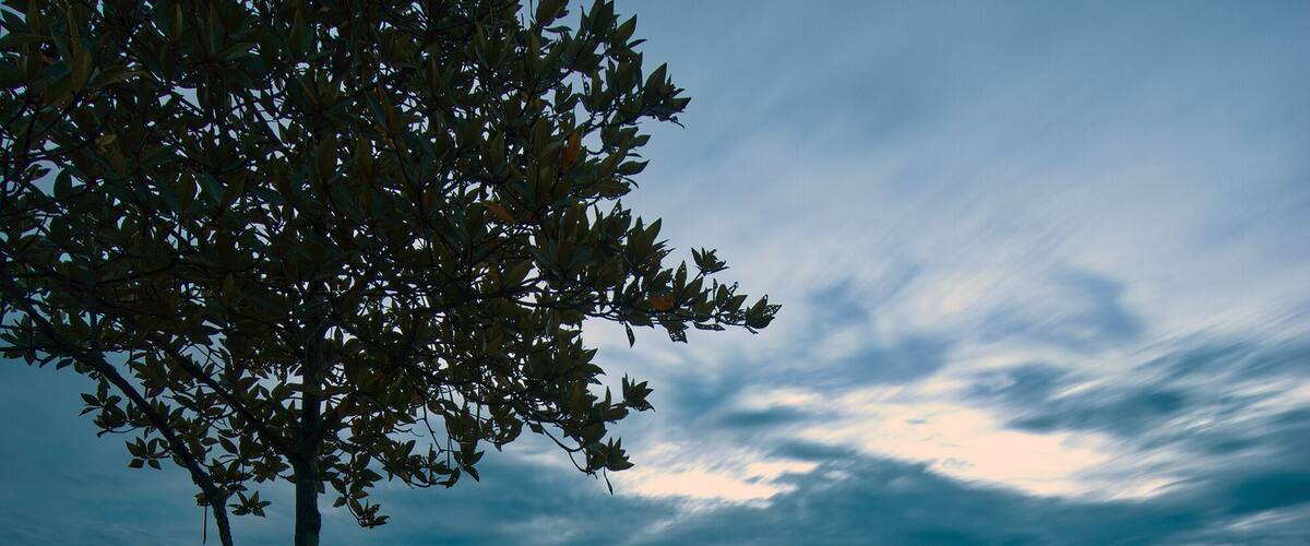 Tanjung Langsat Jetty during blue hour