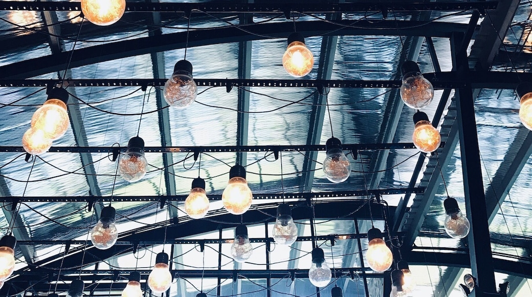 The golden hanging light bulbs lit up the glass house of The Toast Cafe and gave the big space a magical aesthetic. Have a seat and enjoy a cup of coffee with friends in the cozy cafe.
#lifeatexpedia #lights #hanginglights