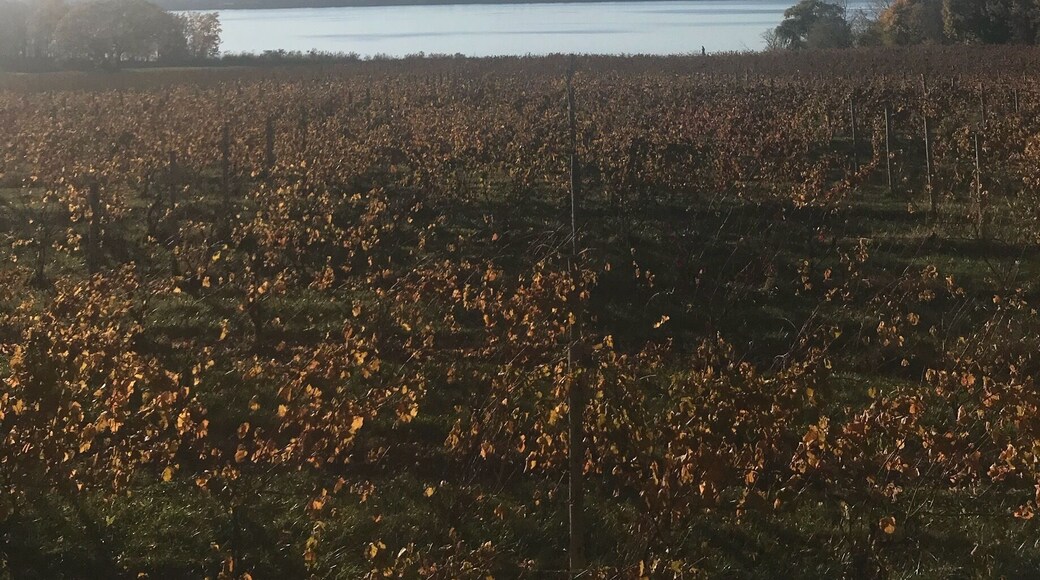 Is it really November