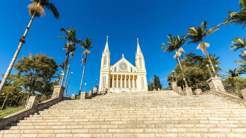 A cathedral with two towers, surrounded by palm trees and a clear blue sky.