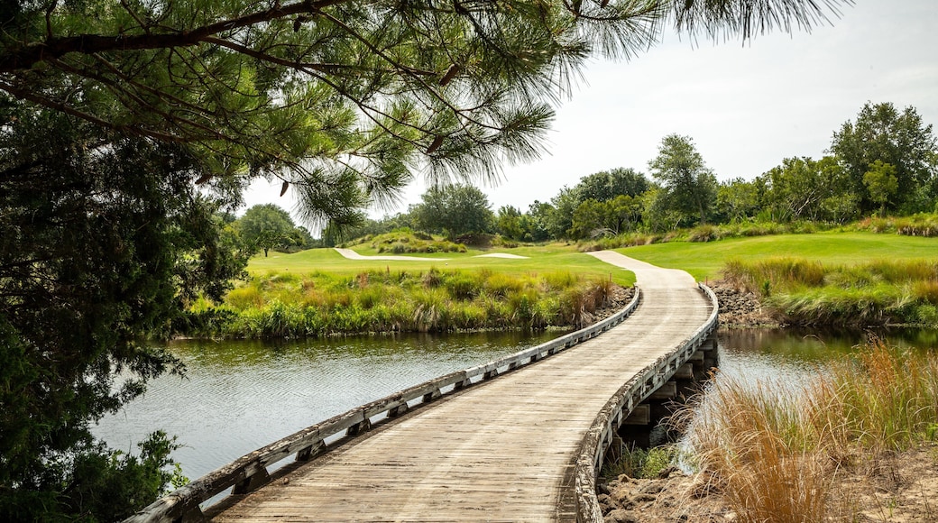 Grand Dunes Golf Course which includes a bridge, golf and a river or creek