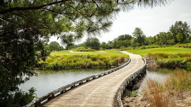 Grand Dunes Golf Course which includes a bridge, golf and a river or creek