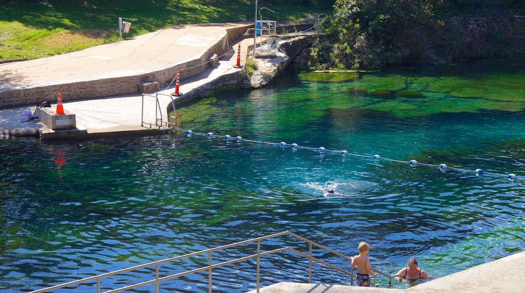 Zilker Park som viser hage, innsjø og svømming