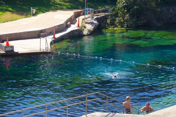 Zilker Park showing a pool, swimming and a garden