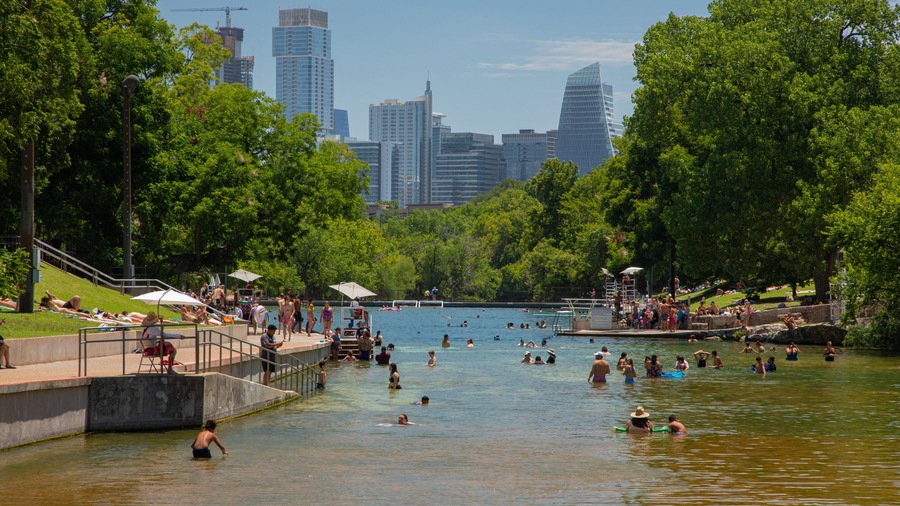 Barton Springs Pool which includes a river or creek and swimming