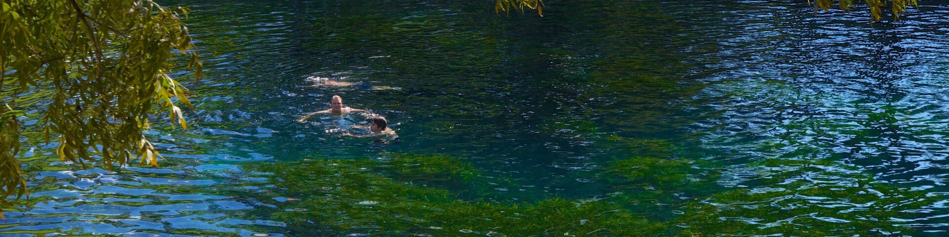 Swimming and relaxing at Barton Springs Pool in Austin, Texas on a sunny day