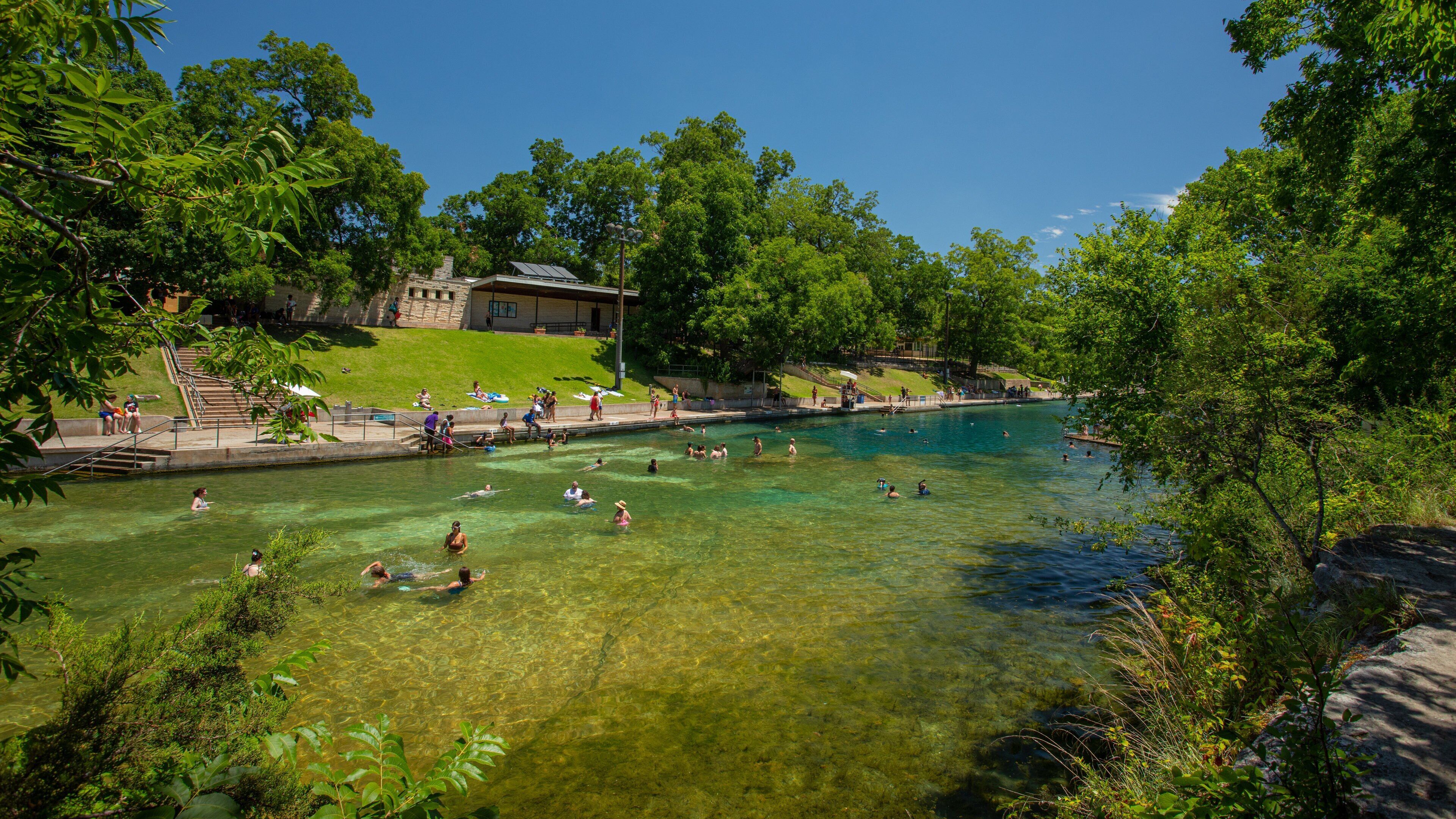 Barton Springs Pool showing a river or creek and swimming