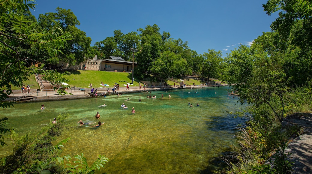 Barton Springs Pool showing a river or creek and swimming