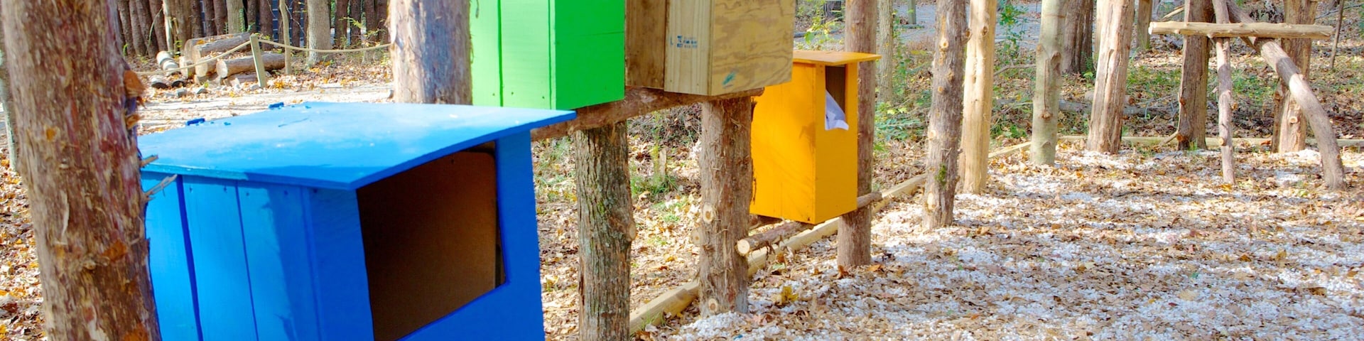 Carolina Raptor Center featuring tranquil scenes
