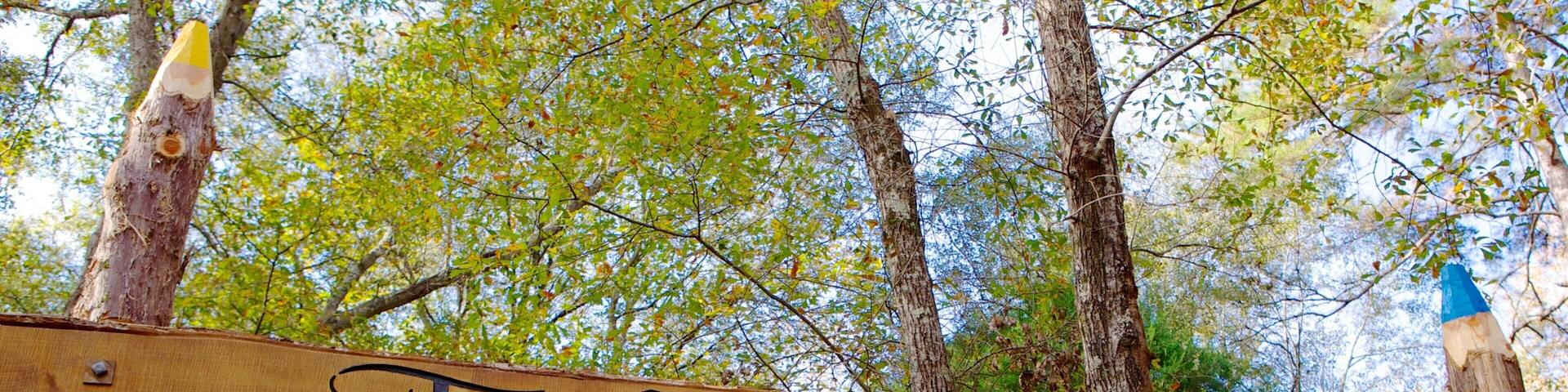 Carolina Raptor Center mostrando escenas forestales y señalización