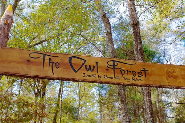 Carolina Raptor Center showing forest scenes and signage