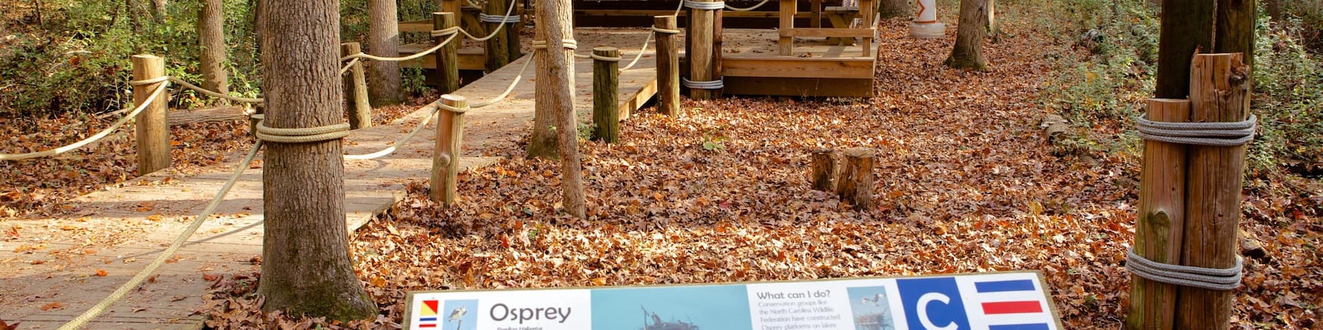 Carolina Raptor Center showing forests, signage and a park