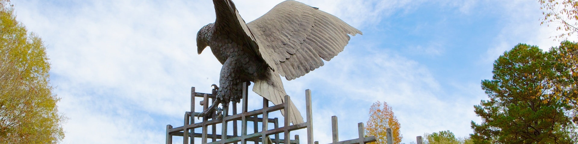 Carolina Raptor Center que inclui uma estátua ou escultura e arte ao ar livre