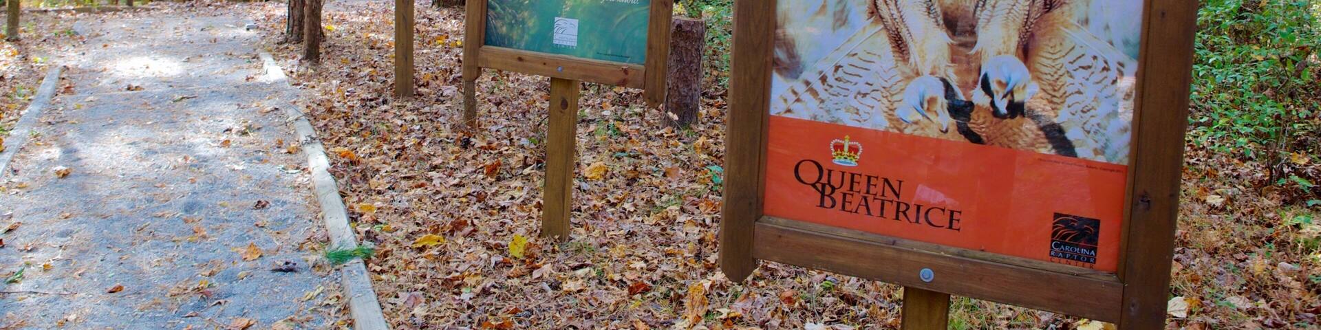 A forested area with wooden signs displaying wildlife.