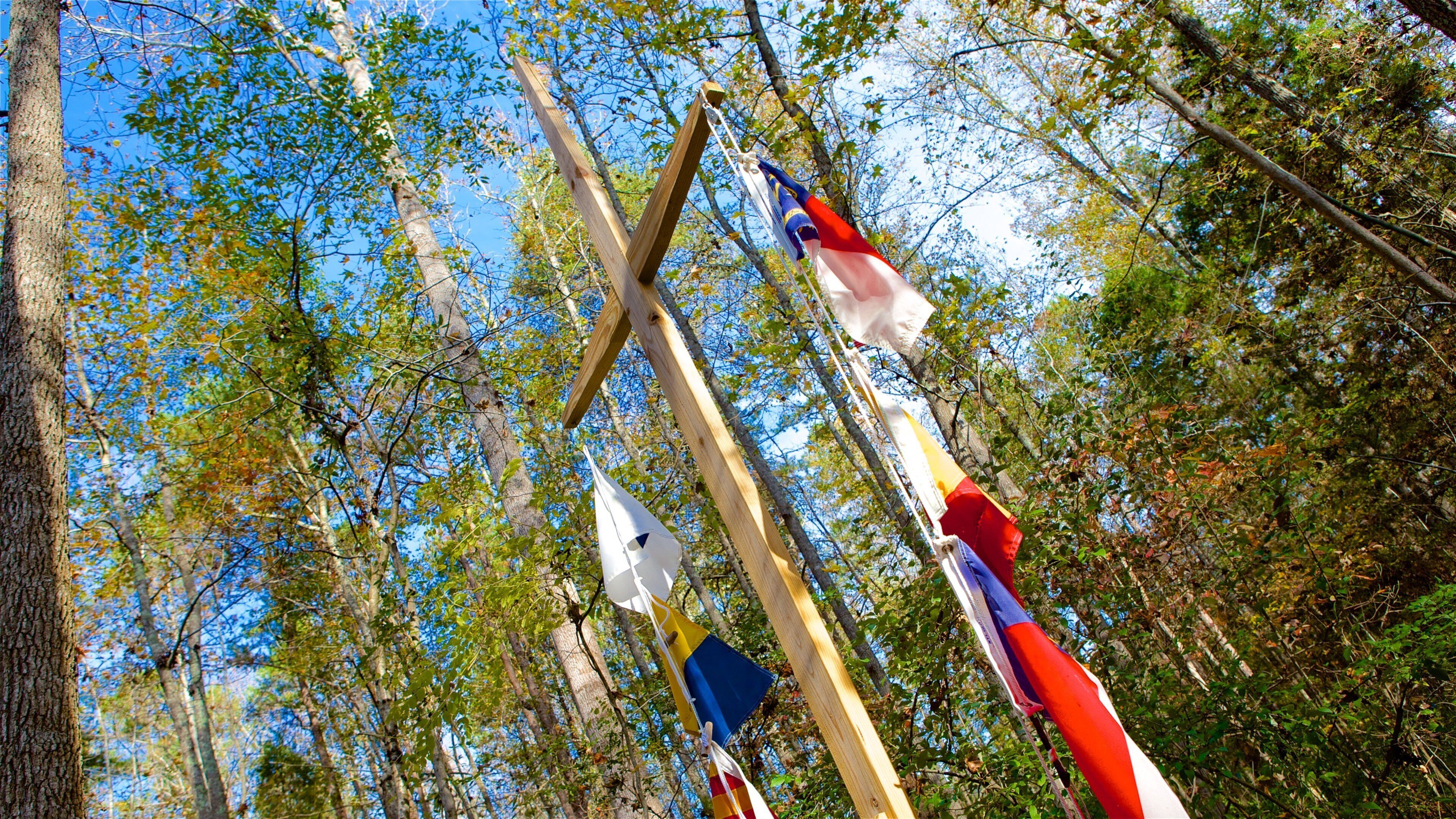 Carolina Raptor Center which includes forests