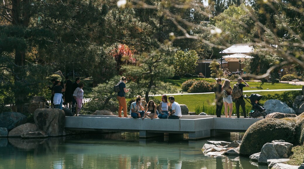 Japanese Friendship Garden of Phoenix featuring a pond as well as a small group of people