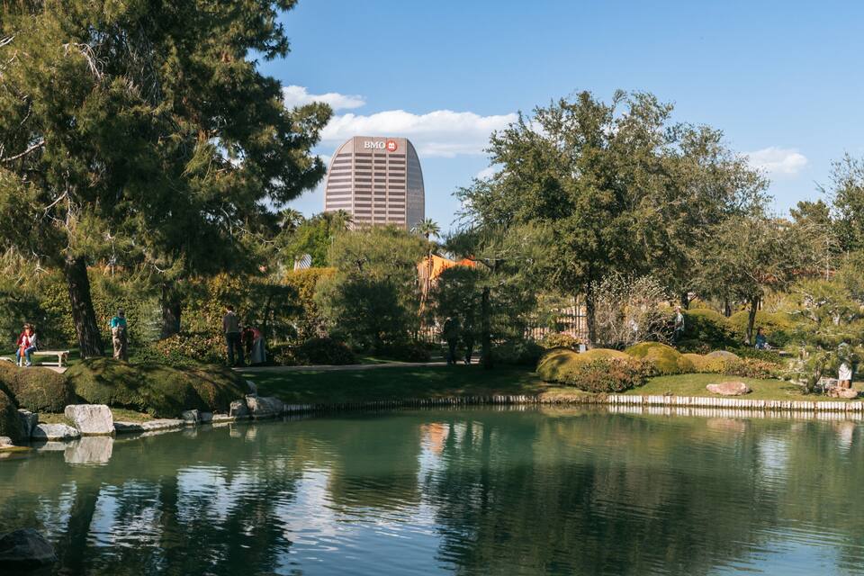 A park with a pond, trees, rocks, and a building in the background.