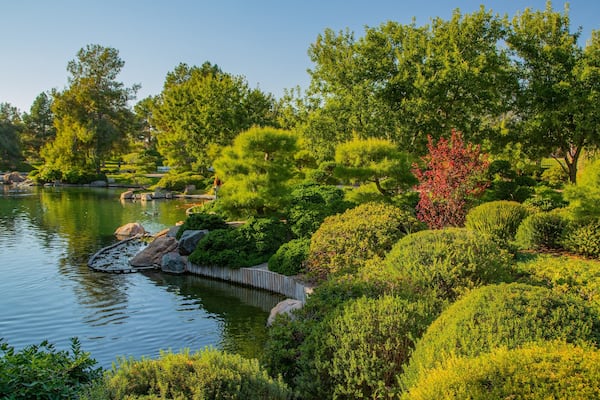 Japanese Friendship Garden of Phoenix