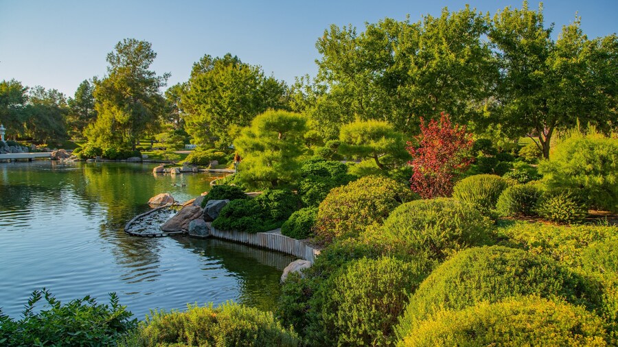 Japanese Friendship Garden of Phoenix