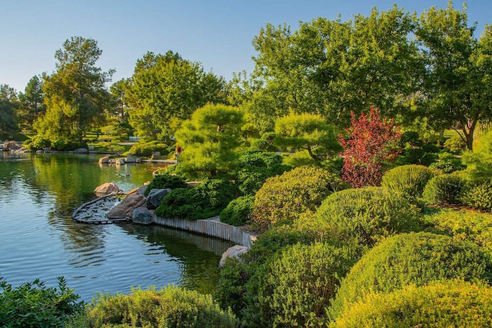 Un jardin paisible avec un étang, une végétation luxuriante et une grande variété d’arbres.