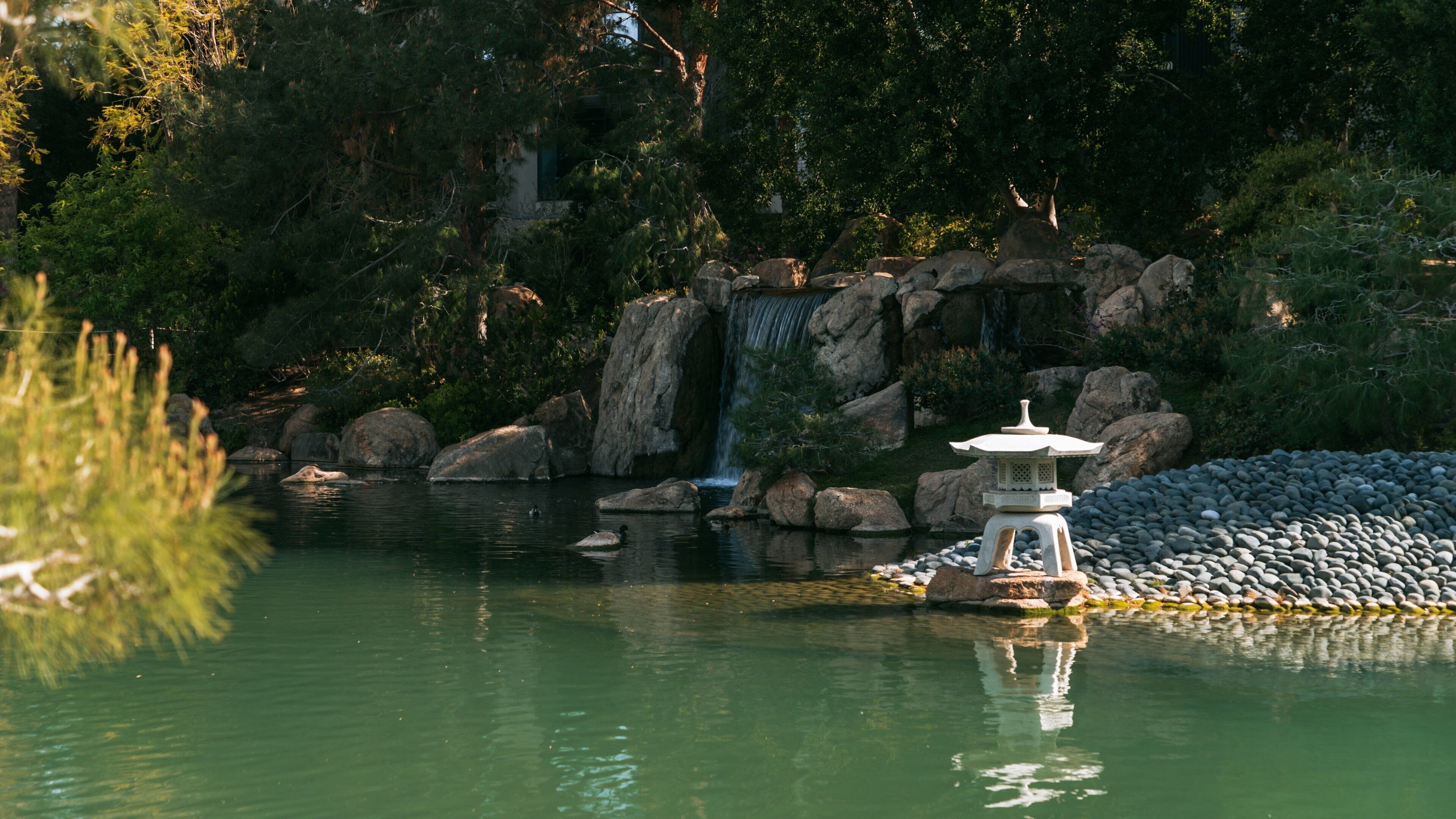 Japanese Friendship Garden of Phoenix Tours - Book Now | Expedia