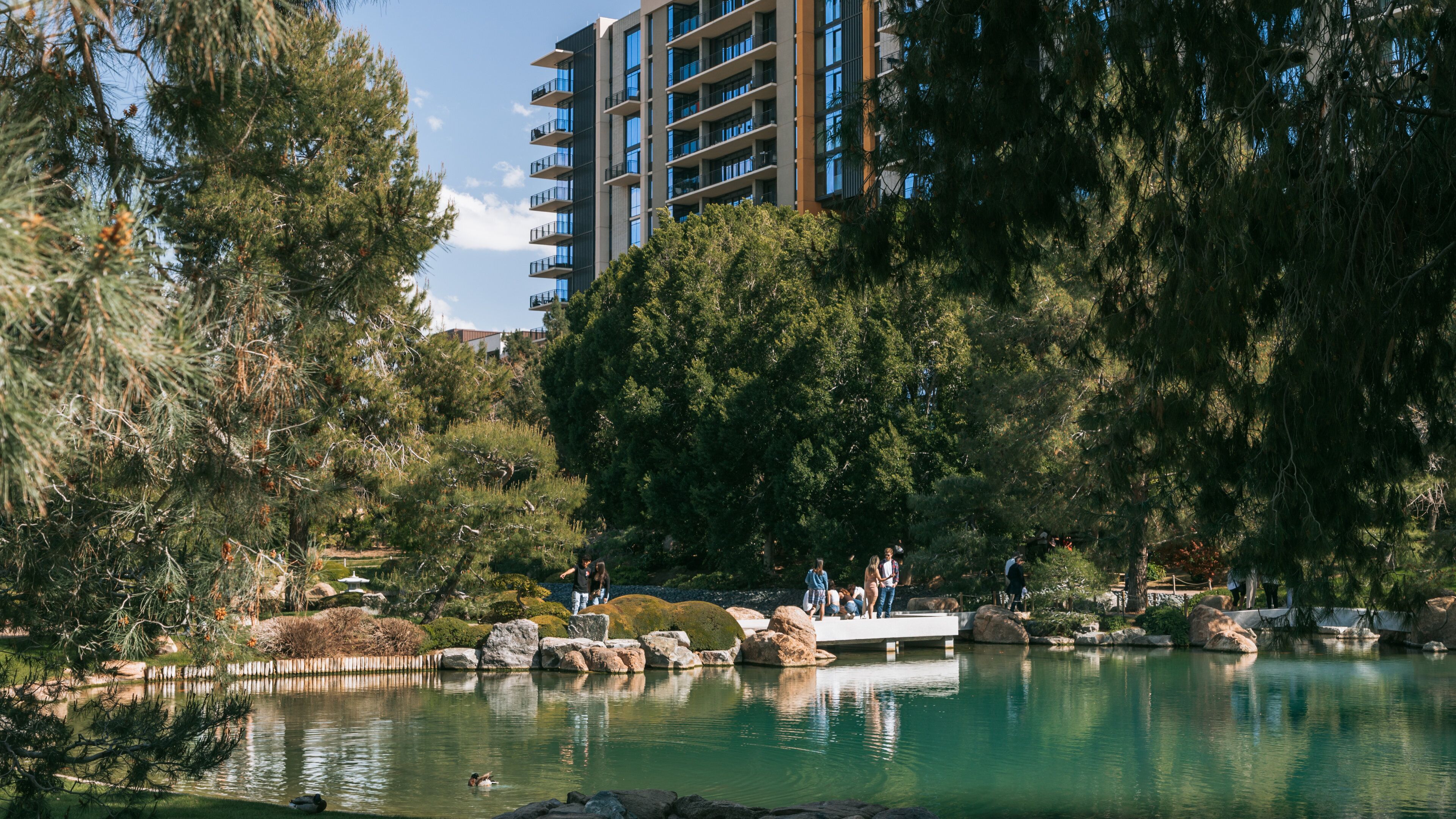 Japanese Friendship Garden of Phoenix featuring a pond and a park