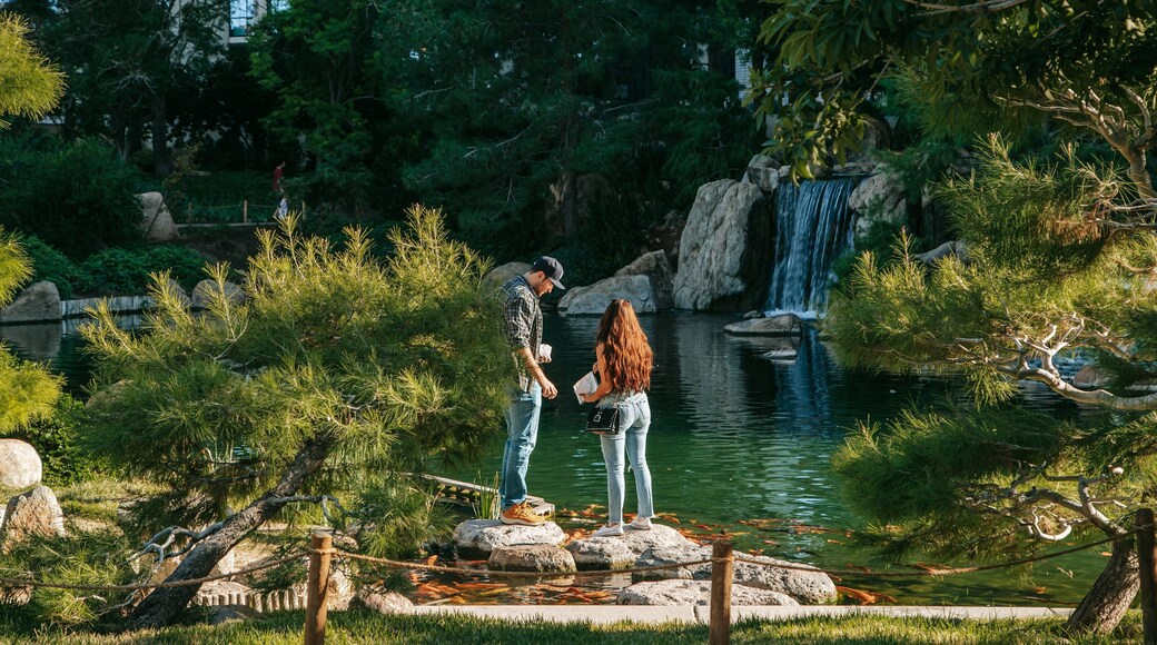 Japanese Friendship Garden of Phoenix which includes a pond as well as a couple