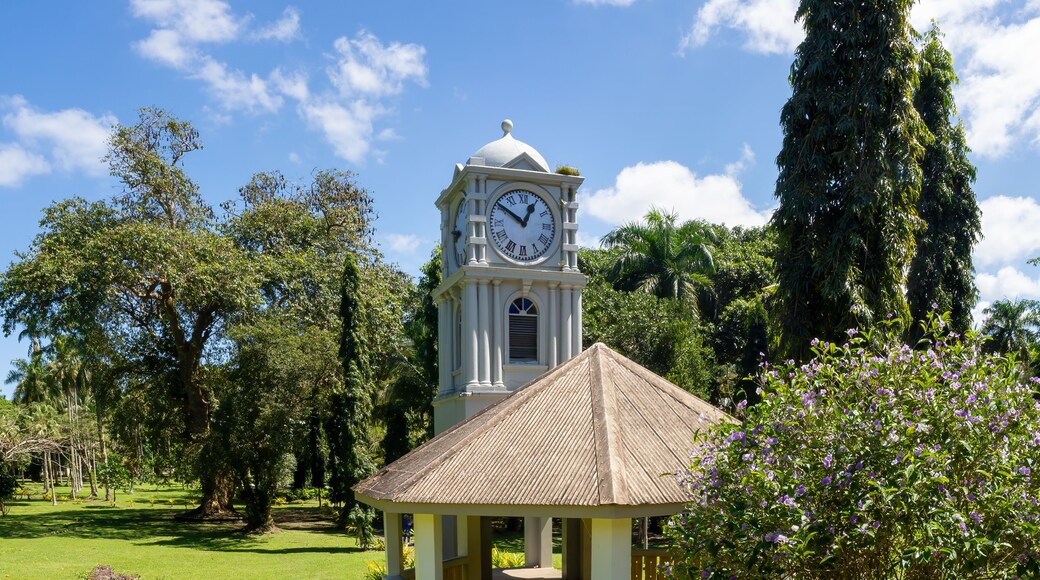 Suva Botanical Garden (Thurston Gardens), Suva. Fiji, South Pacific Ocean. Built on the original grounds of the city of Suva, burnt down after a bloody fight iand massacre n 1843