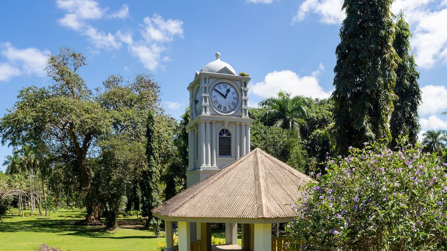 Suva Botanical Garden