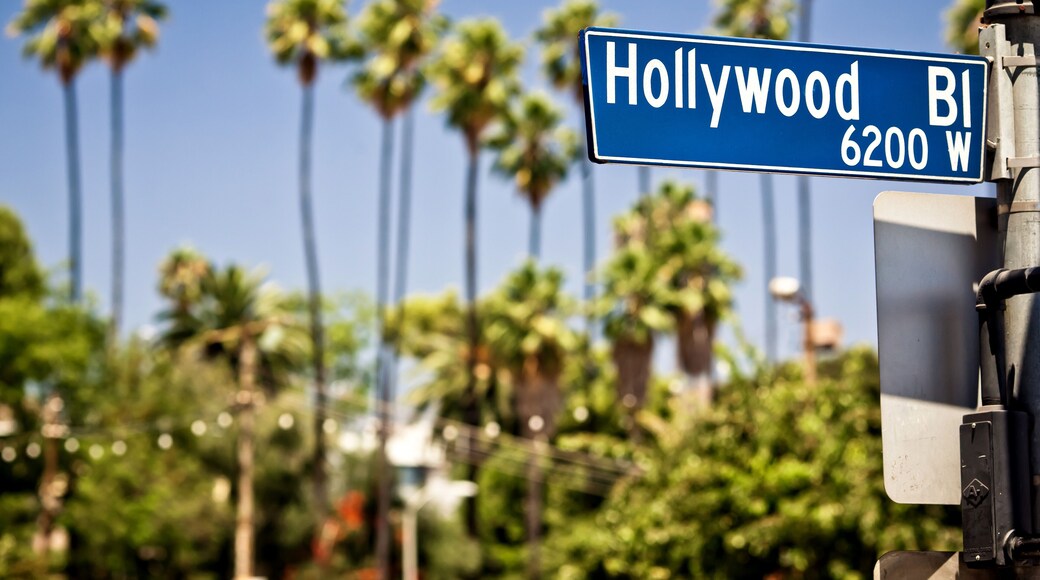Hollywood Boulevard