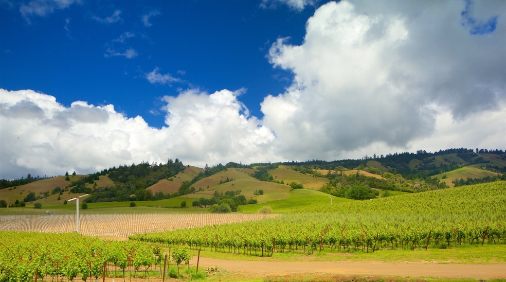 Philo que incluye escenas tranquilas, tierras de cultivo y vistas de paisajes