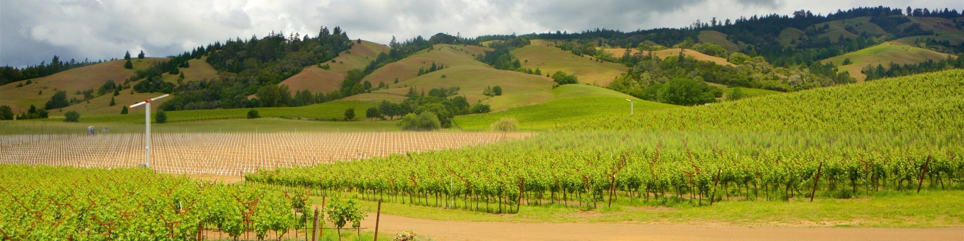 Philo showing tranquil scenes, farmland and landscape views