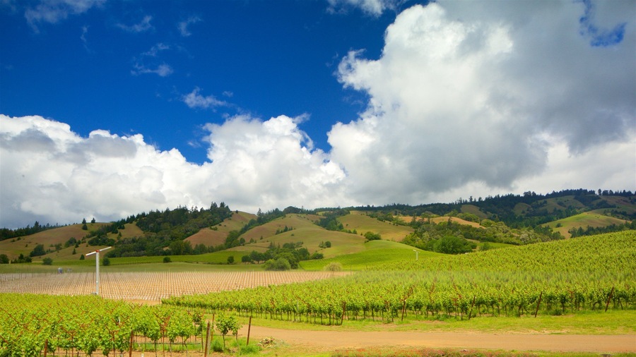 Philo showing farmland, tranquil scenes and landscape views