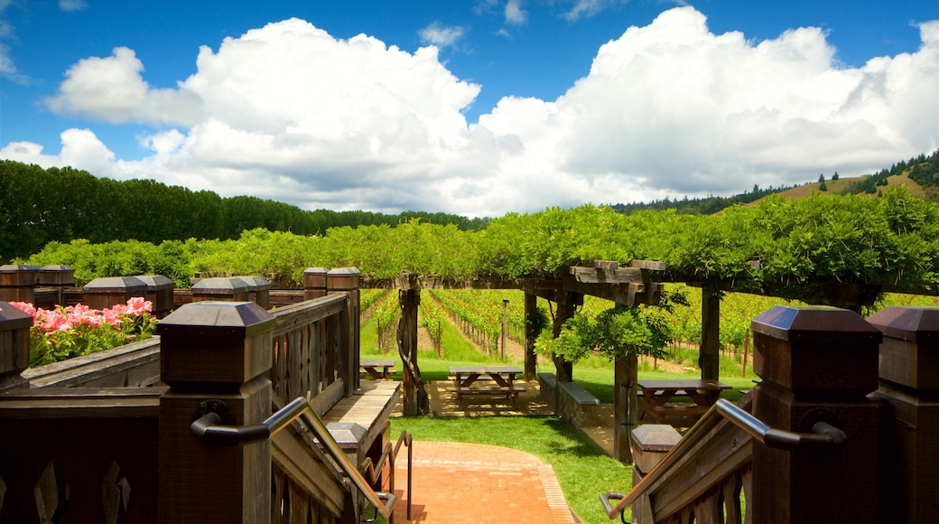 North Coast California