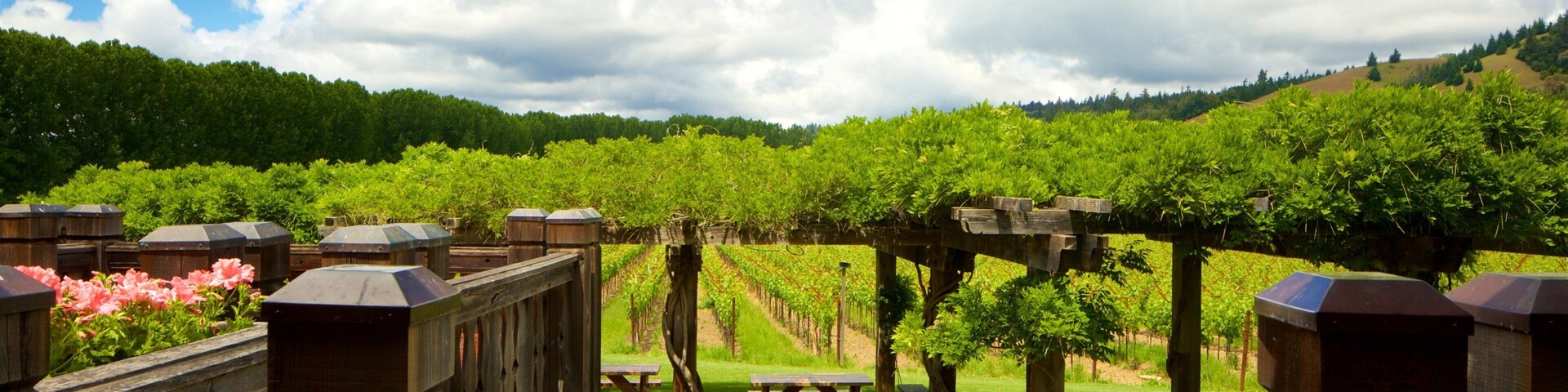 North Coast California