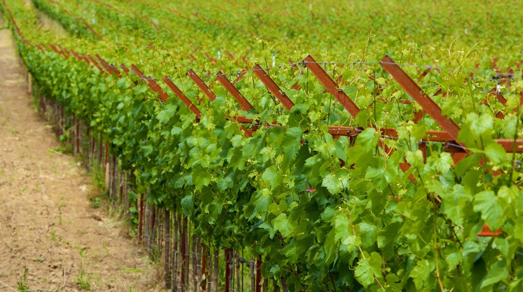 Philo which includes farmland