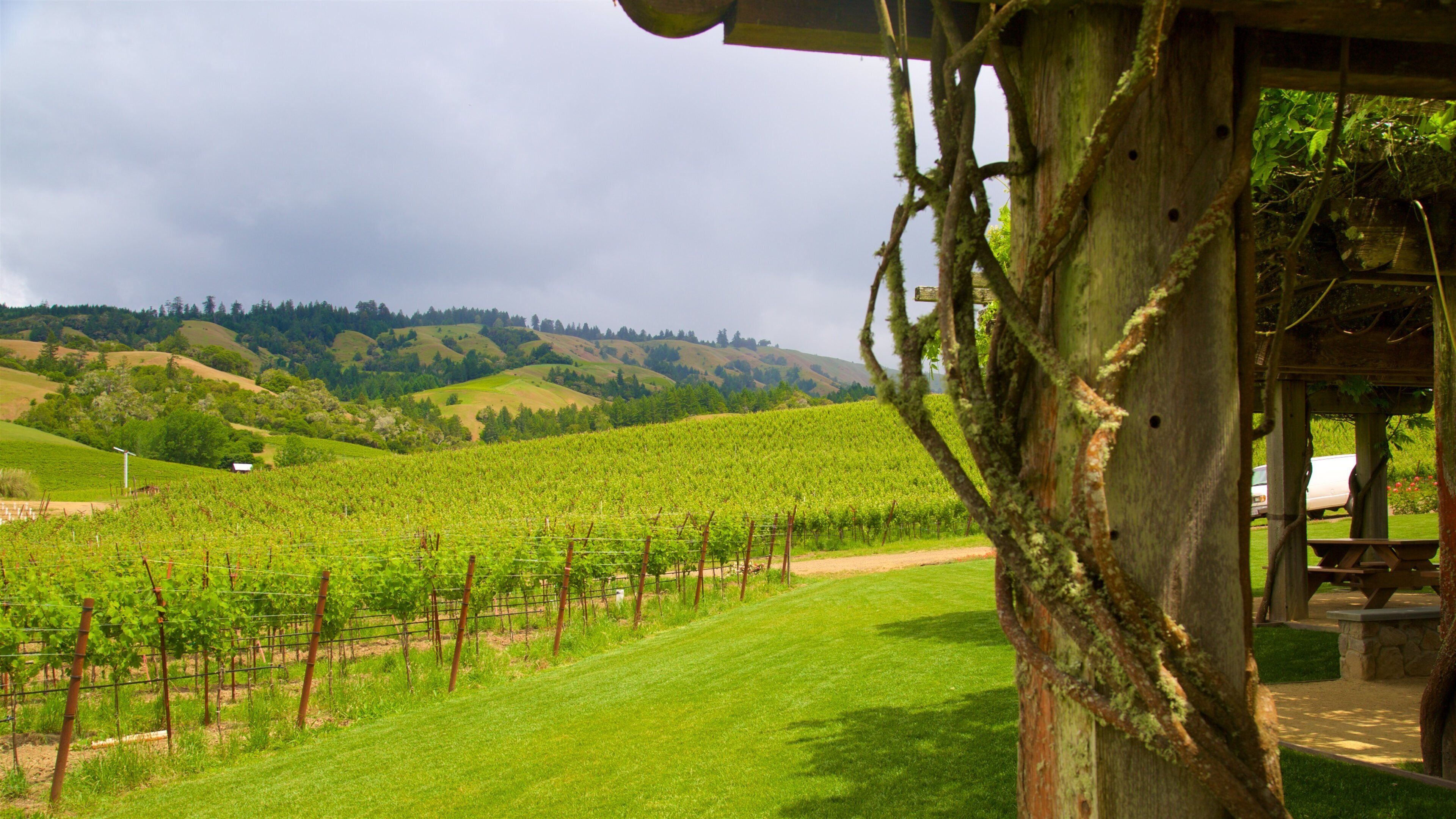 필로 을 특징 농장, 풍경 과 한적한 풍경