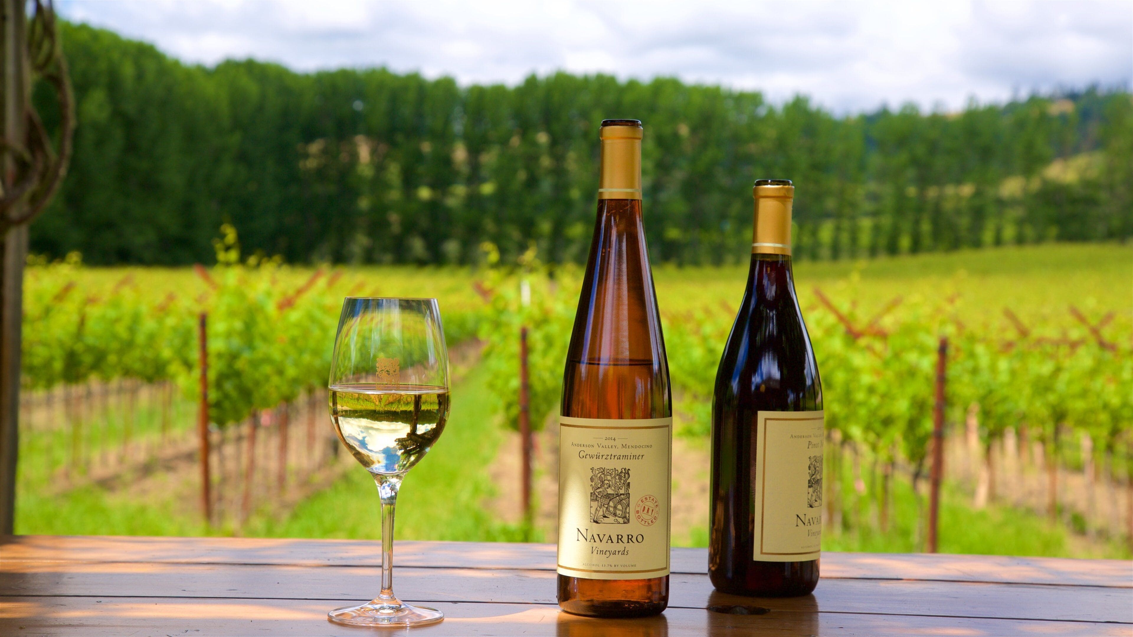 North Coast California