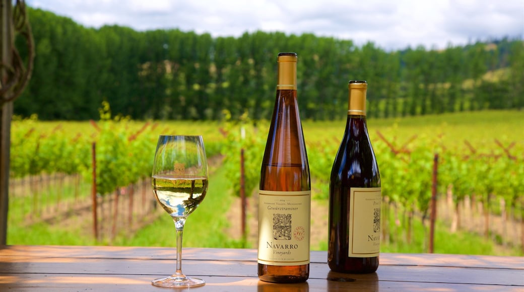 North Coast California