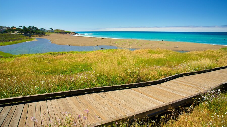 Moonstone Beach Park showing a beach and a park